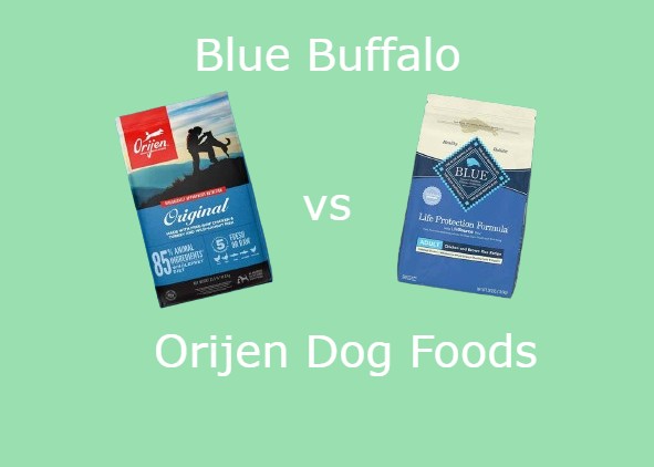 Blue buffalo vs orijen dog foods